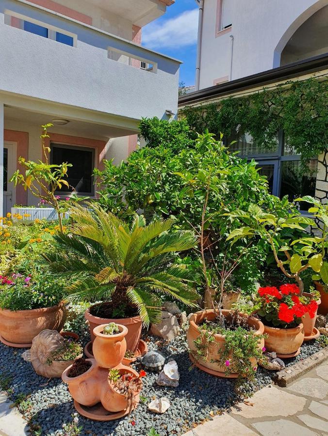 Apartmani Kurjakovic - プナト エクステリア 写真